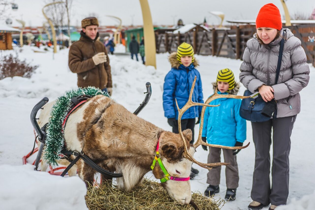 парк сказка в москве каток